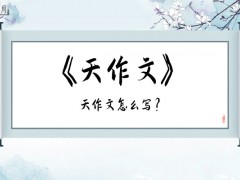 天作文300字（8篇）