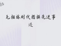 毛相林时代楷模先进事迹600字（13篇）