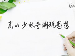 嵩山少林寺游玩感想500字（5篇）