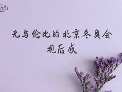 无与伦比的北京冬奥会观后感1200字（5篇）