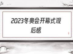 2022冬奥会开幕式观后感300字（5篇）