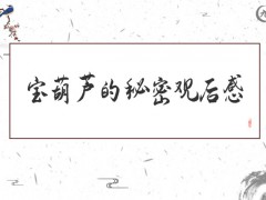 宝葫芦的秘密观后感500字（21篇）