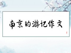 南京的游记作文800字（5篇）