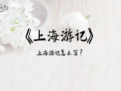 上海游记600字（30篇）