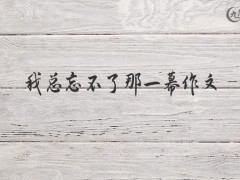 我总忘不了那一幕作文500字（12篇）