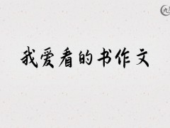 我爱看的书作文500字（13篇）