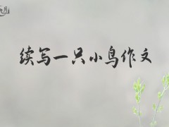 续写一只小鸟作文200字（17篇）