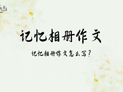 记忆相册作文800字（7篇）