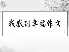 我感到幸福作文600字（12篇）