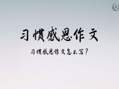 习惯感恩作文1200字（6篇）